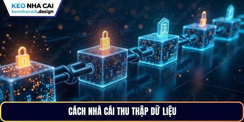 Cách thu thập dữ liệu