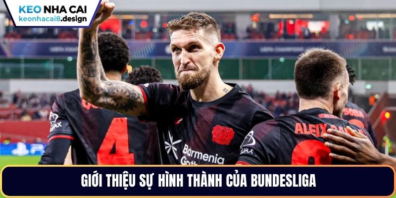 Giới thiệu sự hình thành của Bundesliga