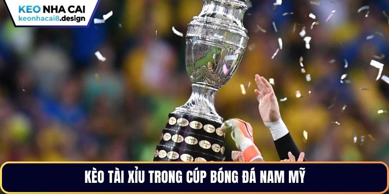 Kèo tài xỉu trong cúp bóng đá Nam Mỹ