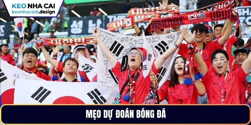 Mẹo dự đoán bóng đá
