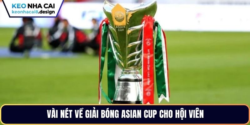 Vài nét về giải bóng Asian Cup cho hội viên